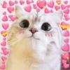 Cats hearts 7