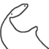 Flork  23