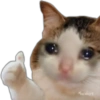 Gatitos 8
