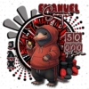 MASCOTAS  13