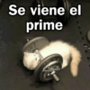 🩷😍Gatitos Con Frases🥴🐈‍⬛ 9