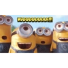 Memes 7