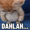 Top Kucing Plenger Meme 12