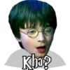 Harry Potter 9