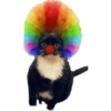 Cat Rulez 22