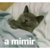 Cat images I love 16