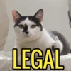 LEGAL