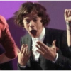 Harry styles memes 6