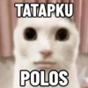 Top Kucing Plenger Meme 8