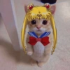 Gatito 15