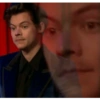 Harry styles memes 5