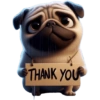 Pug Dogs 15