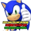 SONIC SI PEMARAH 9