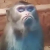 Memes tristes 7