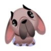 Perro de facebook 26