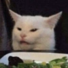 Gatitos 7