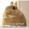 a trabajar porque ricos sólo mis besos