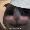 Smile cat ~ 7