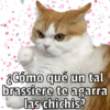 🐱🐾Mishis🐈🐈‍⬛Para Tu Crush💘😻 6