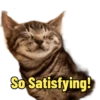 Cat Rulez 25