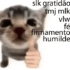 TOP NOVOS MEMES  15