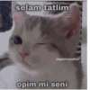 Love yani aşk 17