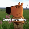 Chill Guy 19