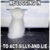 Cat images I love 20