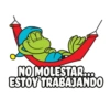 Señor Frog’s 5