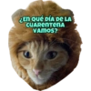 ¿En qué DÍA DE LA CUARENTENA VAMOS?