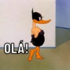 SAUDAÇÕES PARA ZAP 5