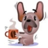Perro de facebook 27