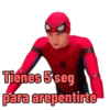 Spiderman 29
