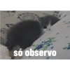 Nina felois 5
