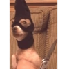 Meme faces 26
