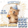 MASCOTAS  29