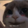 Smile cat ~ 9
