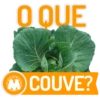 O QUE MCOUVE?