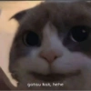 Smile cat ~ 12