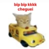 Gatos 18