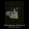 KediliPakıt 4