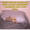 Gatitos para pareja 27