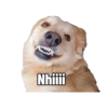 Spott The Dog 9