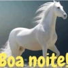 Boa noite 97 30