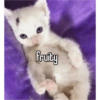 Cat images I love 24