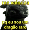 me valoriza pq eu sou um dragão raro
