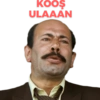 KOOŞ ULAAAN