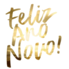 Feliz Novo!