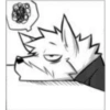 Furry🤨📷 25