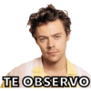 Lmao Harry Styles 9